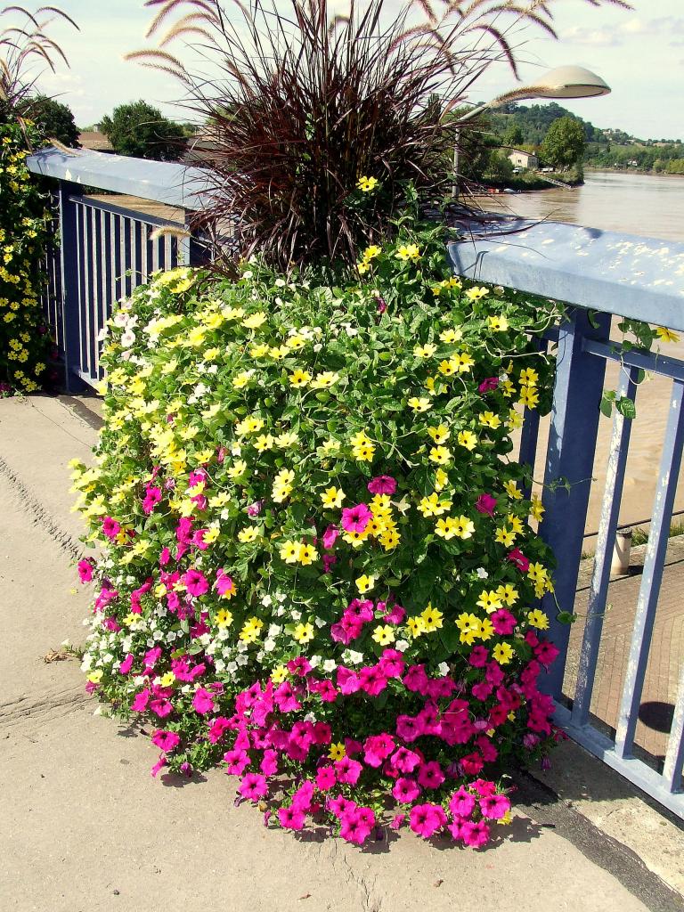 décoration du pont sur la Dordogne