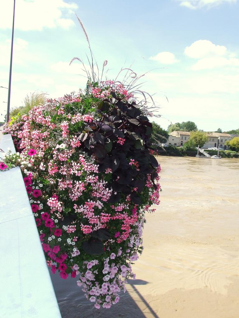 équilibre sur le pont de pierre