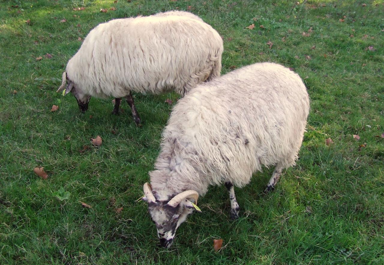 la ferme de la Barbanne