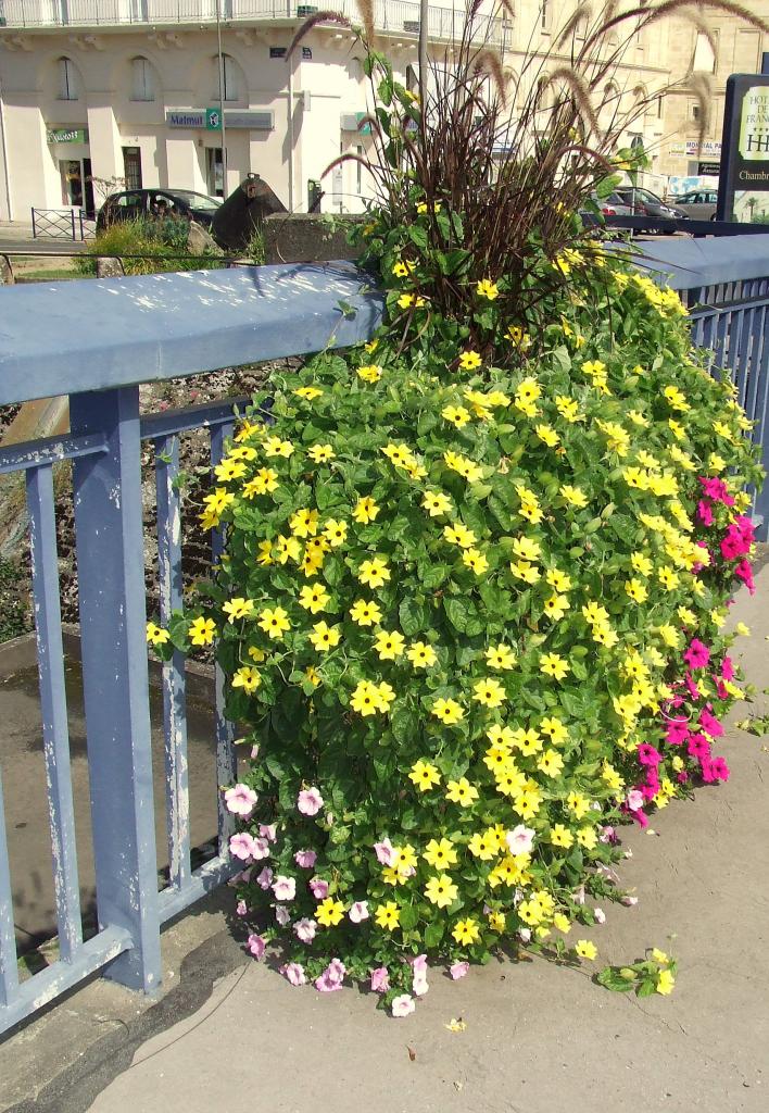 jaune sur le pont de pierre