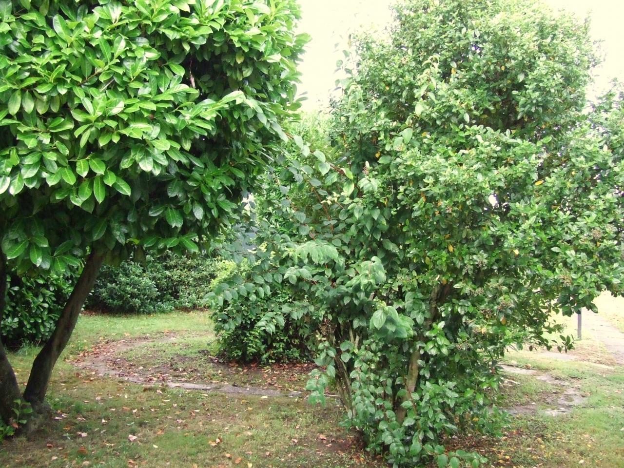 le parc de Lande à Arveyres