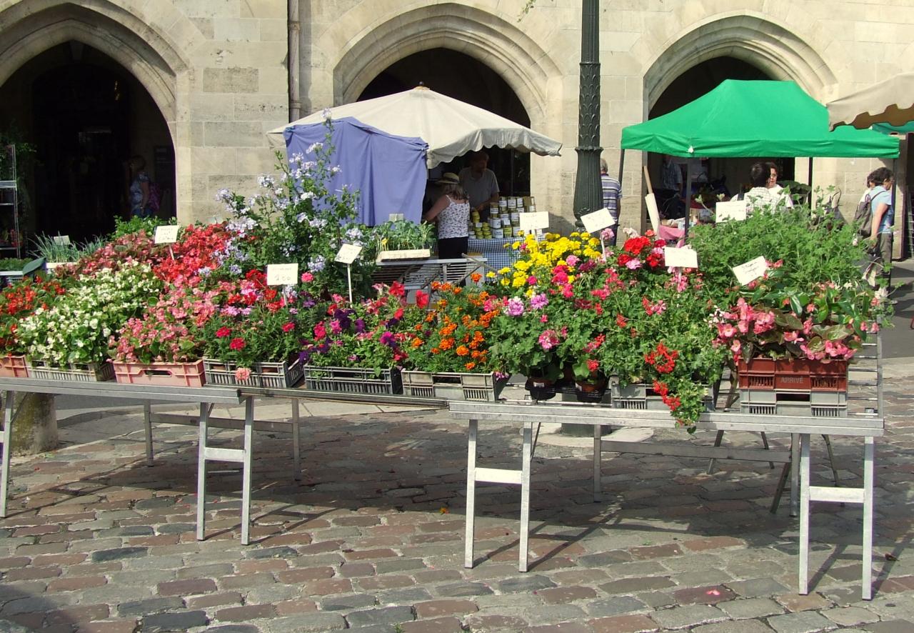 commerce de fleurs et de plants