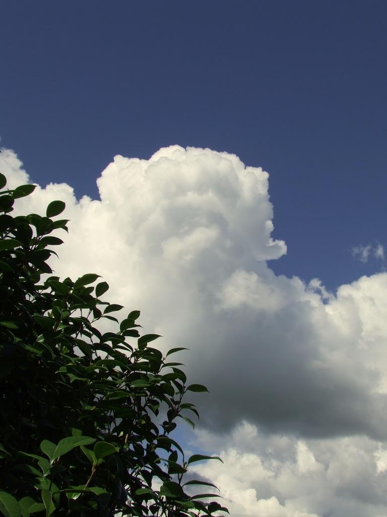 nuages au dessus du parc paysager de Lande