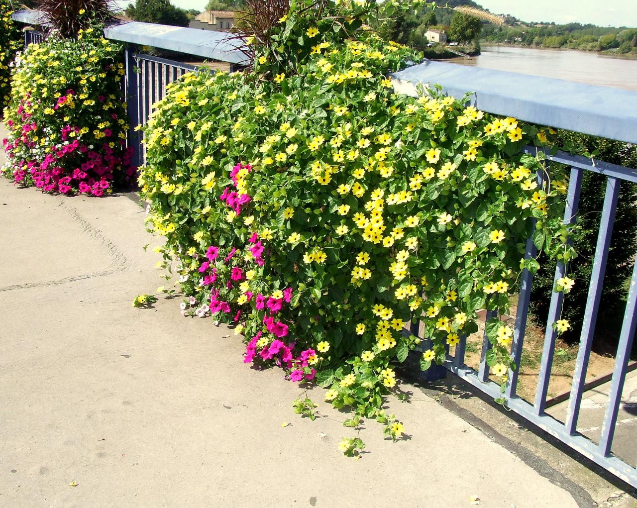 le pont sur la Dordogne