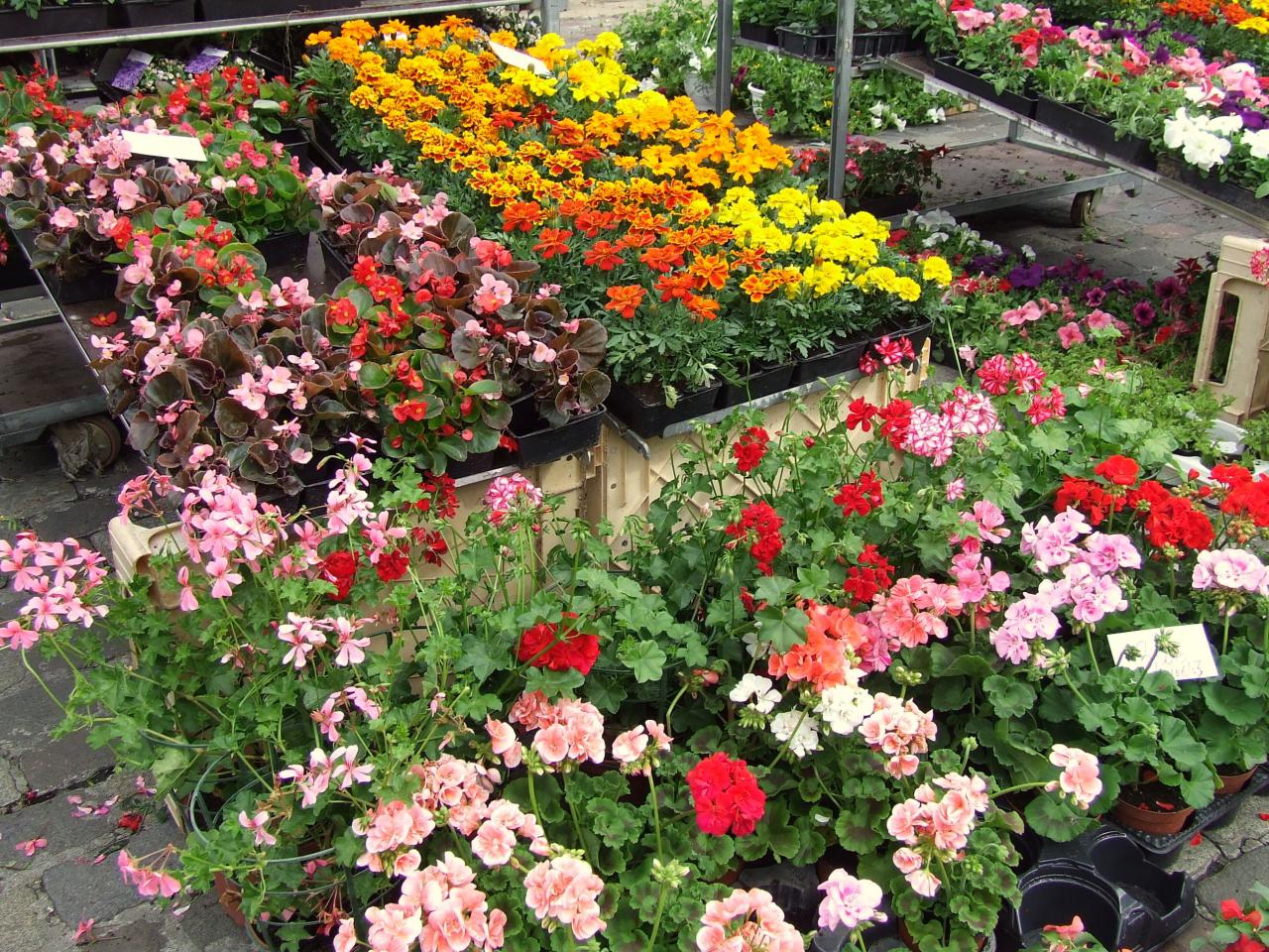 salon des fleurs et du miel