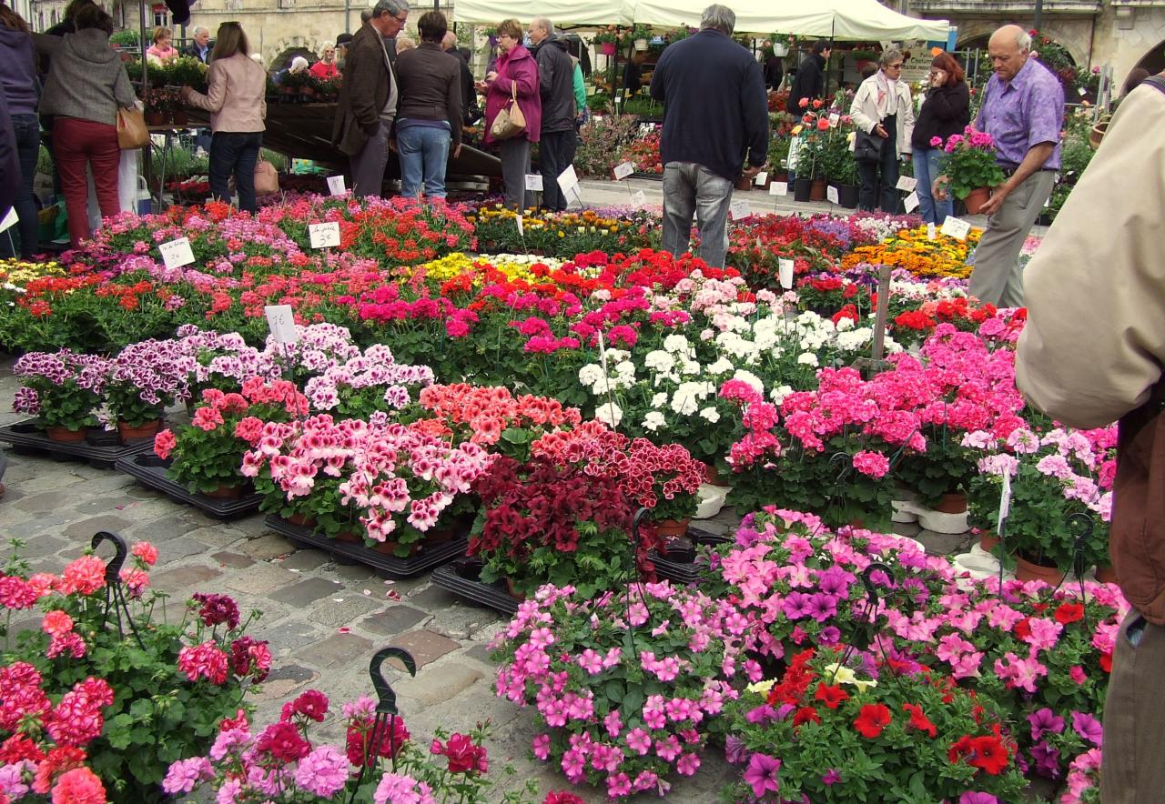 salon des fleurs et du miel