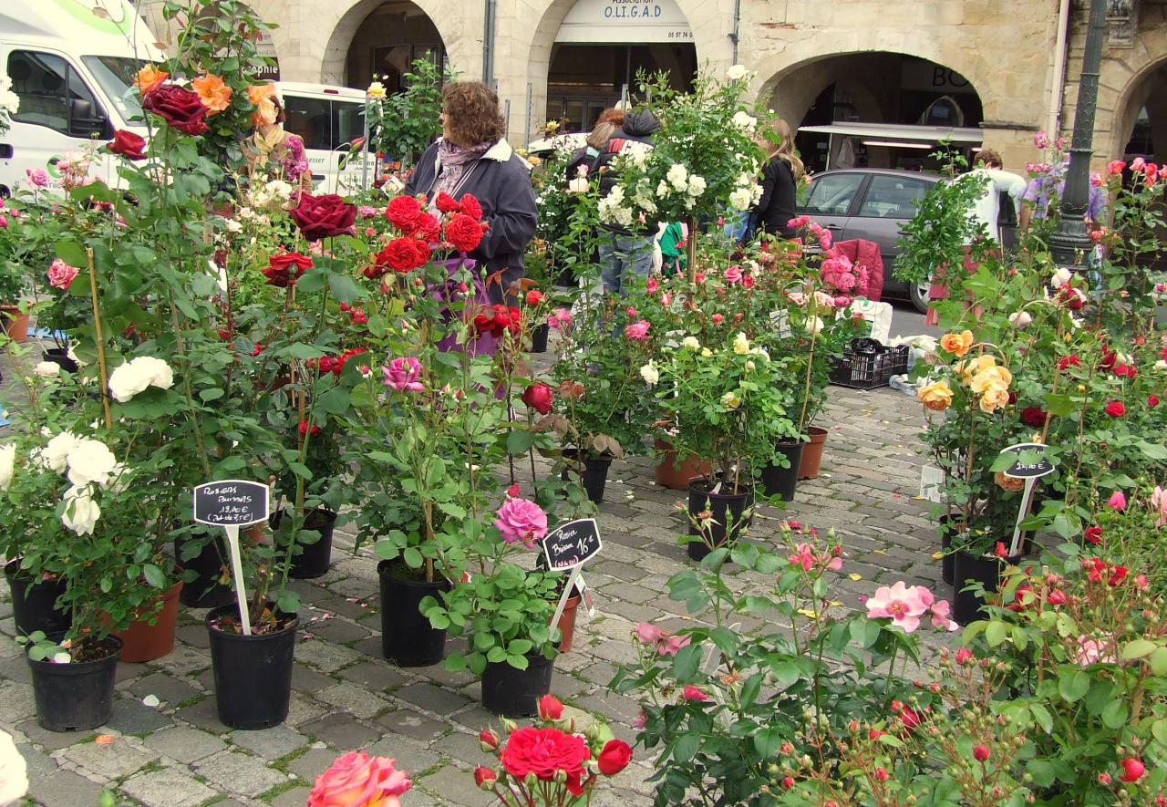 salon des fleurs et du miel