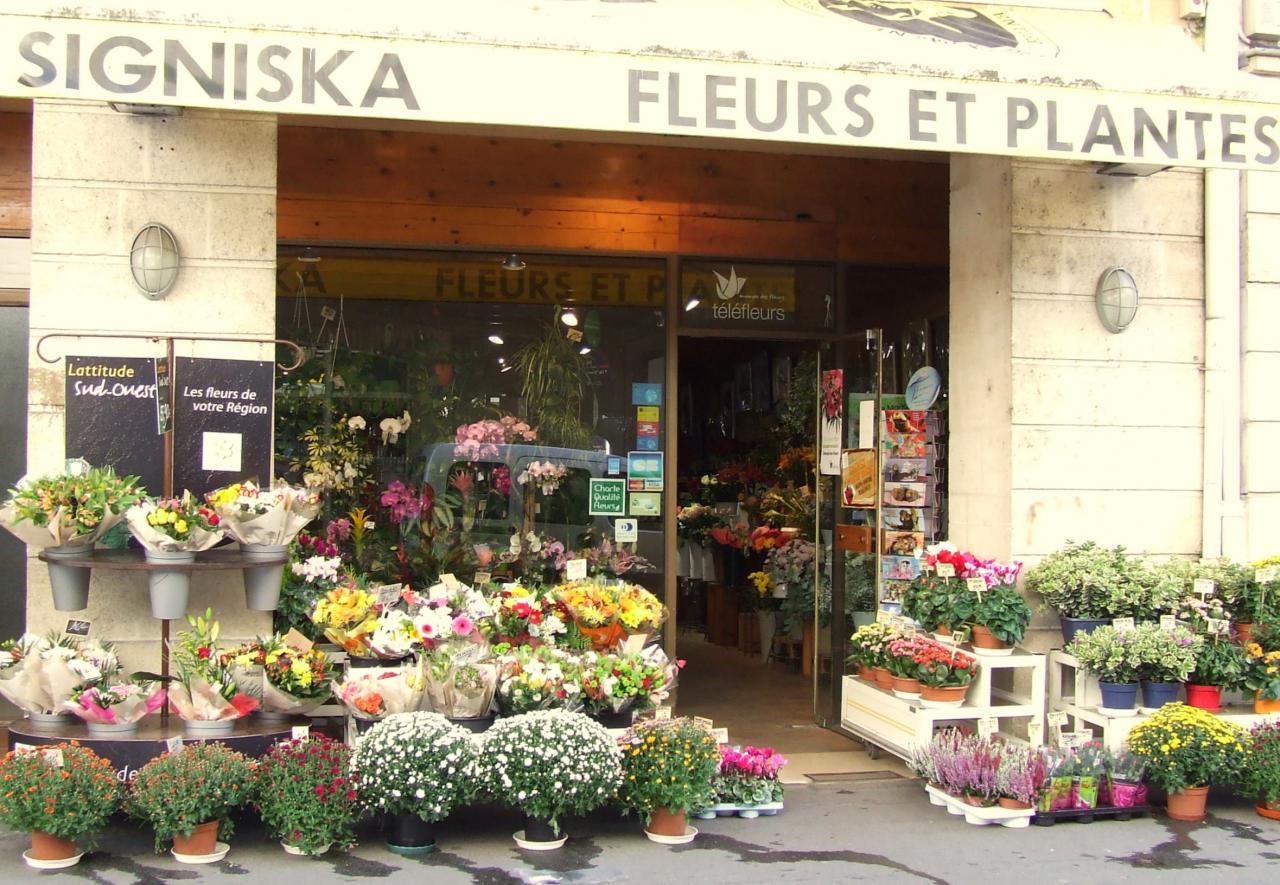 Signiska-Fleurs