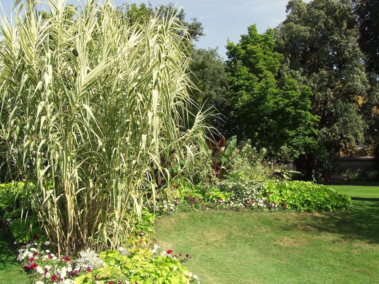 le square verdure